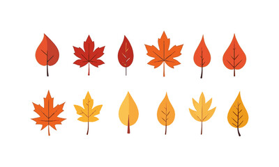 Modern vector illustration of various autumn leaves in different botanical shapes, Autumn leaves icons set,Abstract autumn leaf, modern botanical set. Foliage, plant elements bundle, easily editable. 