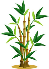 Fototapeta premium Bamboo icon