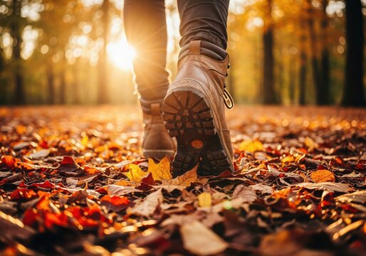 Close up of hiking boots walking on autumn leaves in forest at sunset.