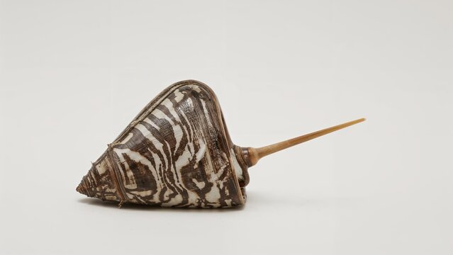 Aggressive Expansion of Zebra Mussel Species Dreissena polymorpha