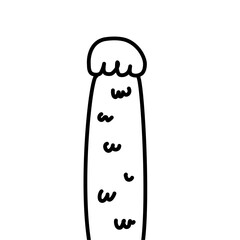 cute cats paws hand drawn