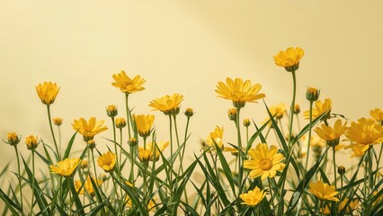 Obraz premium Seasonal growth of bright yellow floral plants