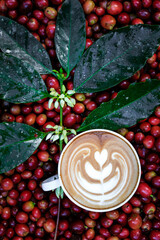 cappuccino coffee, coffee cup, flowers coffee,  coffee green leave, red sherry raw coffee background, full frame
