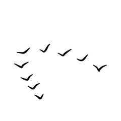 flock of bird vector design hand drawn
