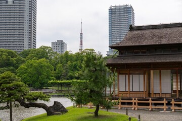Japanese garden with skyscrapers and Tokyo Tower.