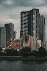 Fototapeta premium Tokyo urban skyline with high-rise buildings and cranes
