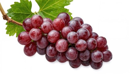 Fototapeta premium Cluster of red grapes hanging on a vine with green leaves against a white backdrop