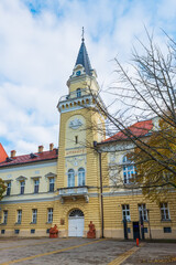 The Kikinda City Hall features a tall clocktower and yellow baroque-style facade. This civic landmark in Serbia blends historic charm with architectural elegance.