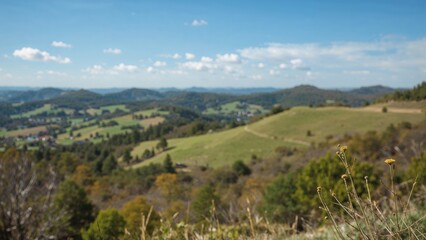 Fototapeta premium Wildlife Setting Including Blank Space