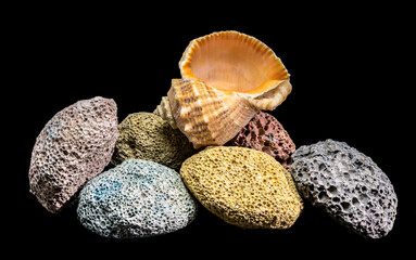 A collection of volcanic rocks and a seashell against black