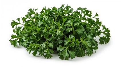 Obraz premium Isolated fresh parsley leaves on a white backdrop