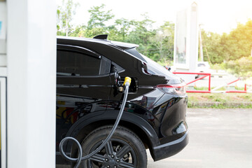 Gasohal,pretrol,diesel  station petrol car in line fuel up. concept business industry and transporation.relatively high price during war Russia and  Ukraine concept.