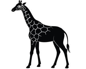 Obraz premium Giraffe Silhouette