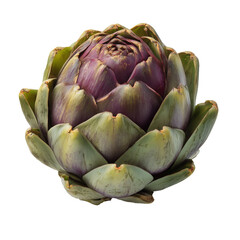 Obraz premium Fresh purple artichoke, a vibrant and nutritious vegetable, perfect for healthy eating and culinary creations on transparent background