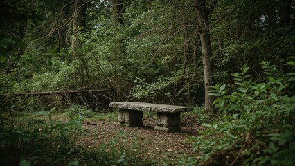 Take a moment to rest on a scenic wooden bench surrounded by wilderness.