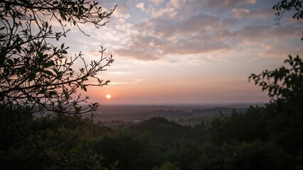 Fototapeta premium Softly colored early morning sky glows behind a silent tree silhouette
