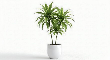 Fototapeta premium Lush green potted plant brings life and tranquility indoors