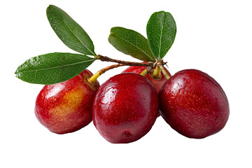 Fototapeta premium Shiny red nanking cherries with green leaves, a vibrant cluster of fresh prunus tomentosa fruit, perfect for healthy eating and natural food concepts on transparent background