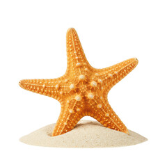 Orange starfish on sand, a marine invertebrate echinoderm, isolated on transparent background