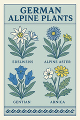 Vintage botanical illustration of German alpine plants featuring Edelweiss, Alpine Aster, Gentian, and Arnica, with labeled flowers in a classic decorative style
