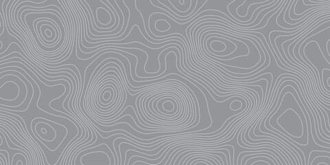 Abstract topographic contour pattern background with smooth curved lines in gray tones. Minimalist modern texture design for mapping, geology, elevation, terrain, or digital graphic projects.
