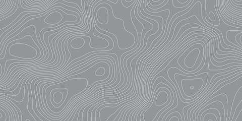 Fototapeta premium Abstract topographic contour pattern background with smooth curved lines in gray tones. Minimalist modern texture design for mapping, geology, elevation, terrain, or digital graphic projects.