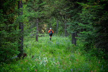 Hiker In Orange Jacket Framed By Tree Trunks And Branches In Wild Flower Clearing