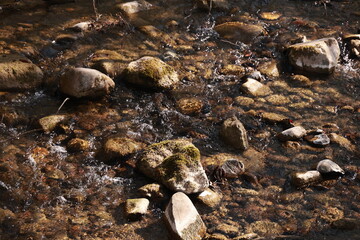 A stream of water is flowing over a rocky river bed