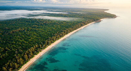 Aerial Forest Meets Turquoise Coastline at Sunrise
