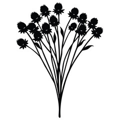 Florist element isolated dried flower bunch on white background 