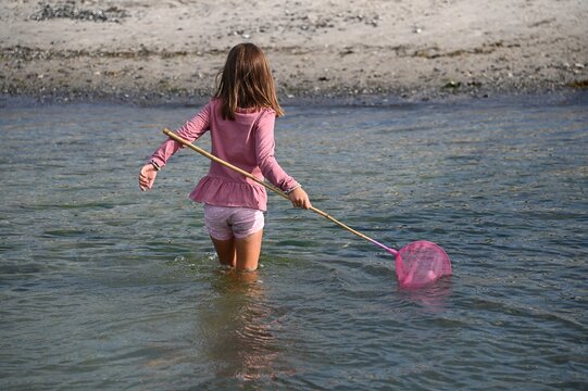 Young girl in pink wading in Denmark with a pink net.