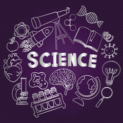 vector illustration of a set of icons