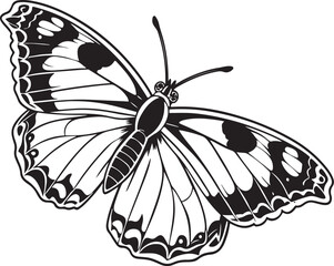 Black and White Vector Drawing of a Butterfly insect
