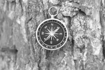 Classic navigation compass on natural background