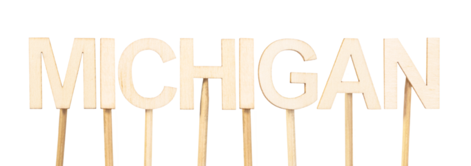 Name Michigan spelled out letter by letter with wooden pieces on a white background, clean design for school resources, decorative maps, or US regional identity content