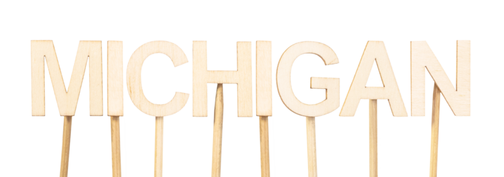 Name Michigan spelled out letter by letter with wooden pieces on a white background, clean design for school resources, decorative maps, or US regional identity content