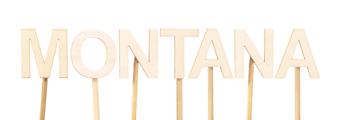 Montana in wooden letters on a neutral background, a clear and conceptual image for geography materials, regional decor, or personalized teaching resources. States of the United States