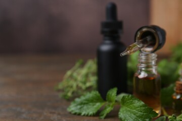 Bottles of essential oil and herbs on wooden table, closeup. Space for text