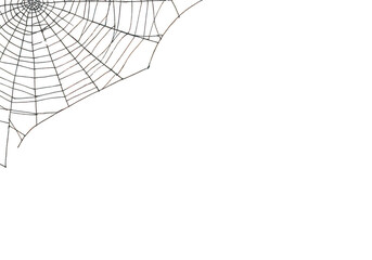 Spiderweb illustration design element isolated on transparent background
