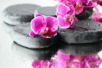 Beautiful orchid flowers, water drops and stones on mirror surface, closeup