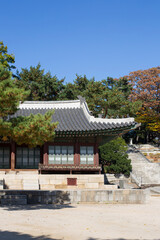 Korean tiled roofs of traditional palace