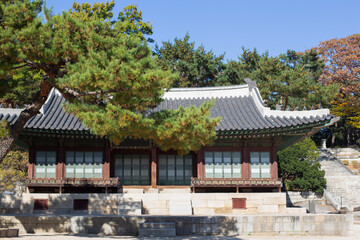 Obraz premium Korean tiled roofs of traditional palace
