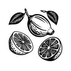 Lemons Woodcut Vector Set - Minimalist Citrus Fruit Illustrations