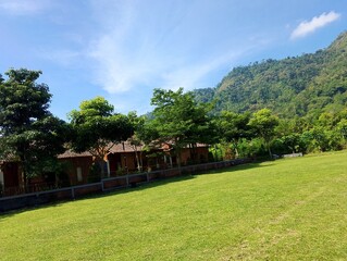 tropical garden in thailand