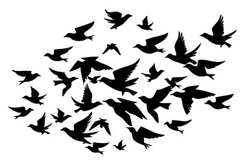 Flock of flying birds silhouette vector, Flying bird black silhouette vector set