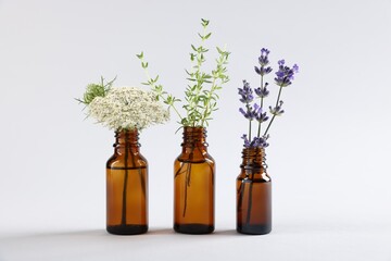 Essential oils with different plants in bottles on light grey background