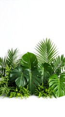 Lush tropical foliage arrangement against white