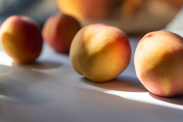 Line of four ripe peaches sits on white surface with sunlight casting long shadows and soft, warm glow