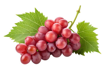 Fototapeta premium Red grapes bunch with leaves isolated on transparent background