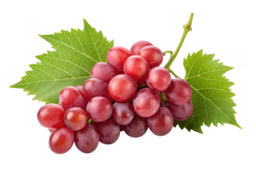 Red grapes bunch with leaves isolated on transparent background